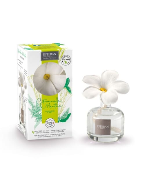 Déco Senteurs | Fleur à parfum et sa recharge 75ml citronnelle et menthe - RB39324