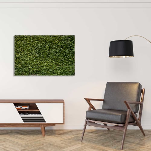Déco Toiles et tableaux | Tableau plexiglas nature mur de lierres 100x60cm - XL24923