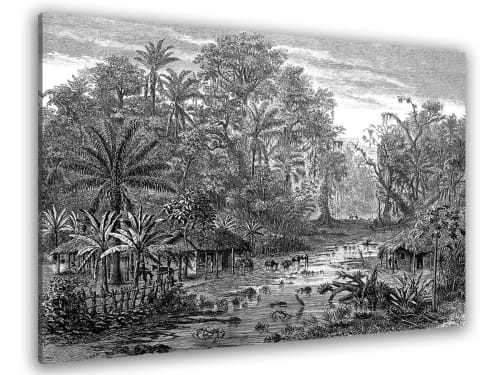 Déco Toiles et tableaux | Tableau gravure forêt de mangroves toile imprimée 80x50cm - WY92549
