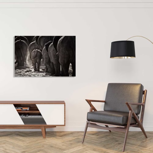 Déco Toiles et tableaux | Tableau animaux cap Afrique toile imprimée 50x30cm - YK18325
