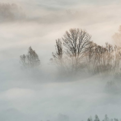 Déco Toiles et tableaux | Tableau brouillard hivernal toile imprimée 80x50cm - EU17444