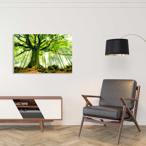 Déco Toiles et tableaux | Tableau nature l'hêtre de ponthus toile imprimée 50x30cm - TV34074
