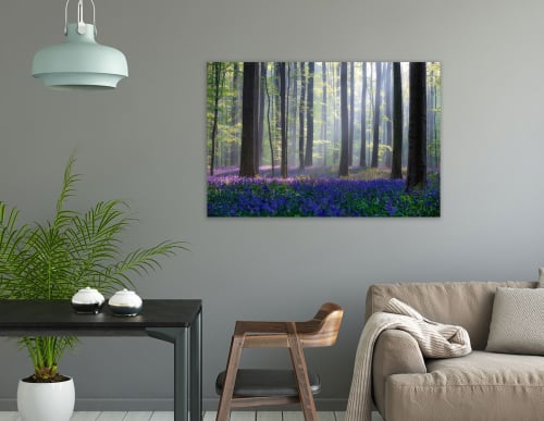 Déco Toiles et tableaux | Tableau nature jacinthes et sous-bois toile imprimée 100x60cm - BJ23792