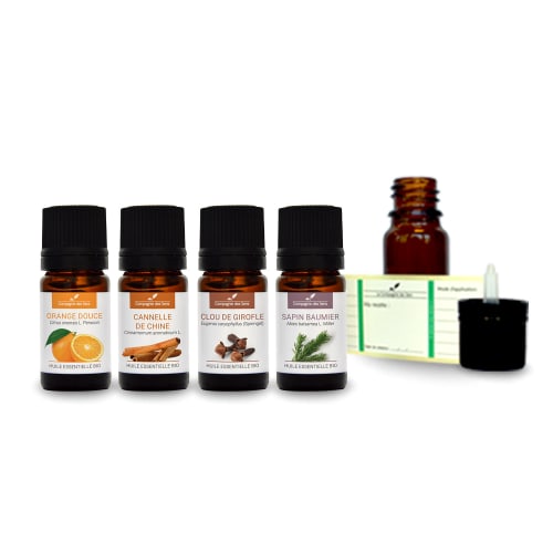 Déco Huiles essentielles | Pack d'huiles essentielles ambiance Noël bio - HS73266