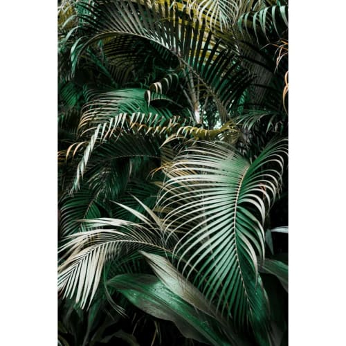 Déco Toiles et tableaux | Tableau sur toile palmier vert 30x45cm - EX86177