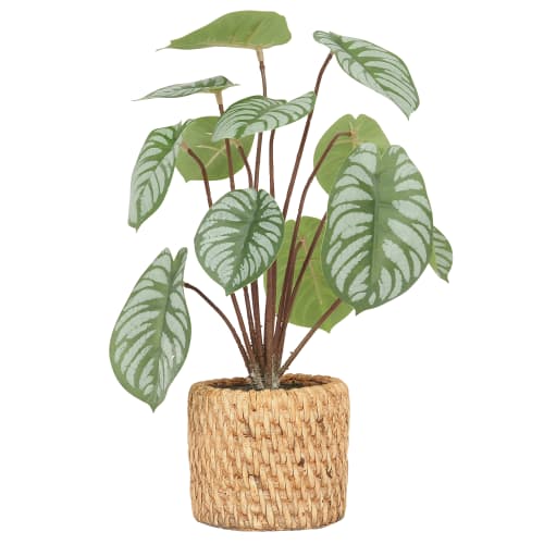 Peperomia artificiel toucher naturel 30cm PERONIA | Maisons du Monde