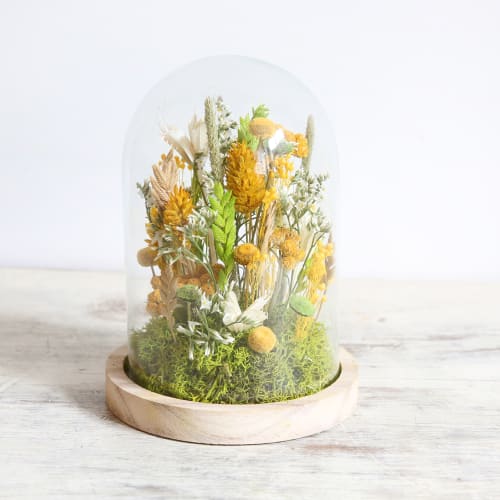 Déco Fleurs séchées | Kit DIY globe fleurs séchées soleil - YP84379
