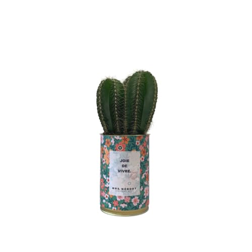 Jardin Plantes d'intérieur et fleurs d'intérieur | Cactus ou Succulente - WB34868