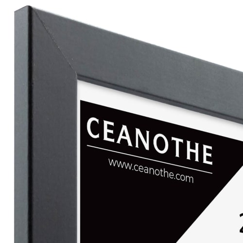 Ceanothe Passe-Partout Noir 20x30 cm Ouverture 15x20 cm en Carton fabriqué en France 