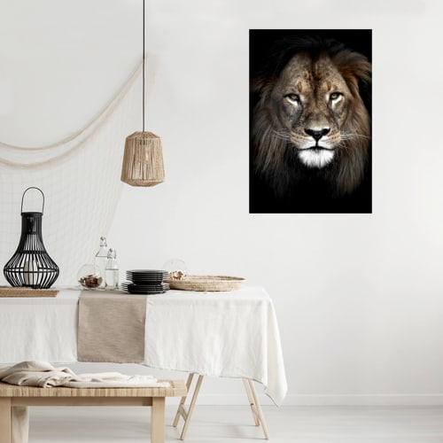Déco Toiles et tableaux | Tableau sur verre synthétique lion dans l'ombre 80x120 cm - WB79543