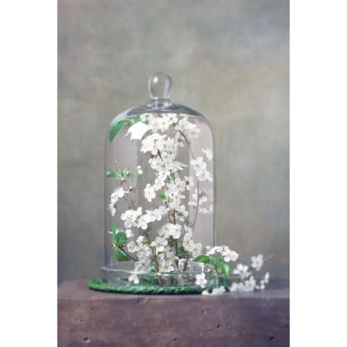 Déco Toiles et tableaux | Tableau sur verre fleur sous cloche 45x65 cm - AW61476