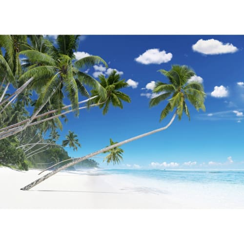 Déco Toiles et tableaux | Tableau sur verre plage de palmiers 45x65 cm - HV65856