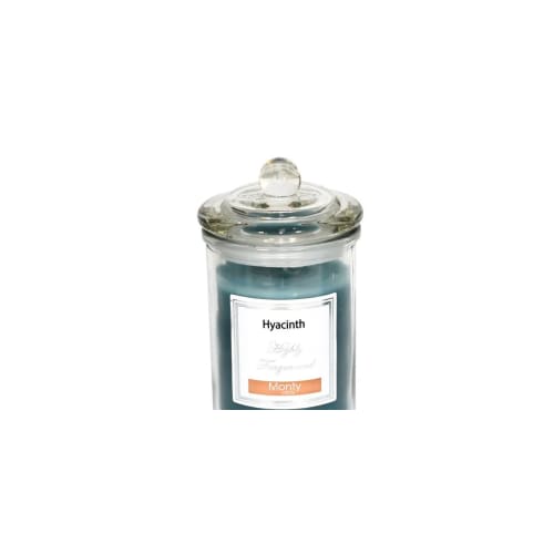Bougie parfumée dans pot en verre jacinthe 7,5x14cm JACINTHE | Maisons du  Monde