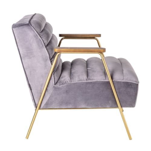Canapés et fauteuils Fauteuils | Fauteuil retro en velours gris - NF27266