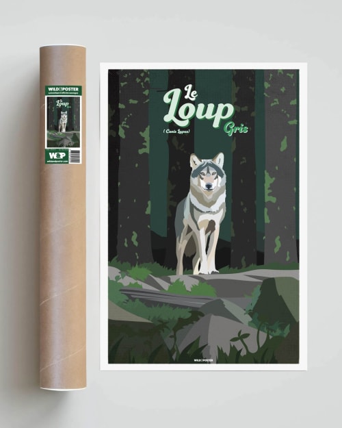 Déco Affiches | Affiche Loup gris 40 x 60 cm - EU59756