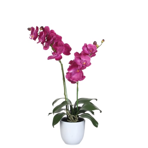 Jardin Plantes d'intérieur et fleurs d'intérieur | Phalaenopsis artificielle violet en pot H66 - XB44394