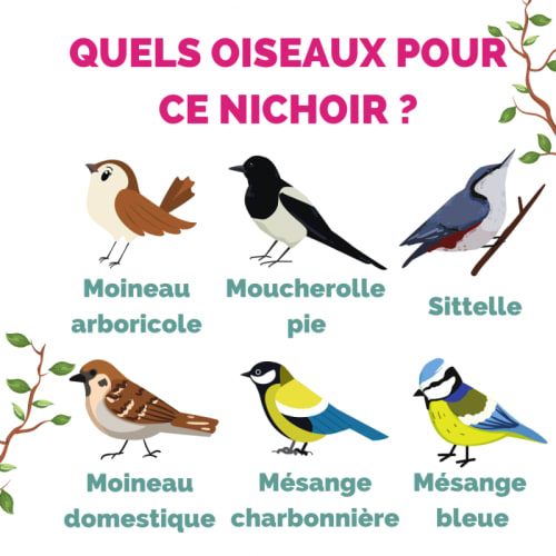 Nichoir à miroir pour oiseaux