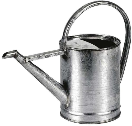 Déco Jarres et cache-pots | Arrosoir 3 litres en zinc - CY40261
