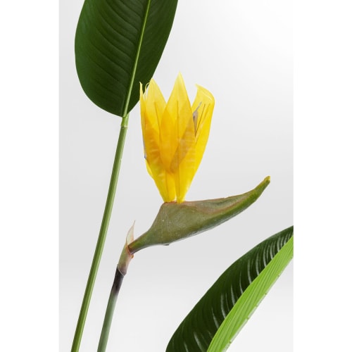 Plante artificielle oiseau de paradis en polyéthylène et béton H190  PARADISE FLOWERS | Maisons du Monde
