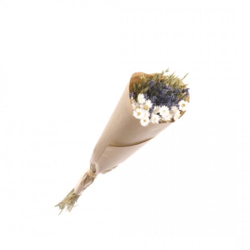 Déco Fleurs séchées | Bouquet fleurs séchées S Naturel D13cm - KT27821