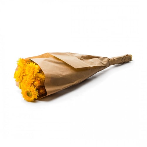 Déco Fleurs séchées | Botte Helichrysum Natural Yellow - JO74007