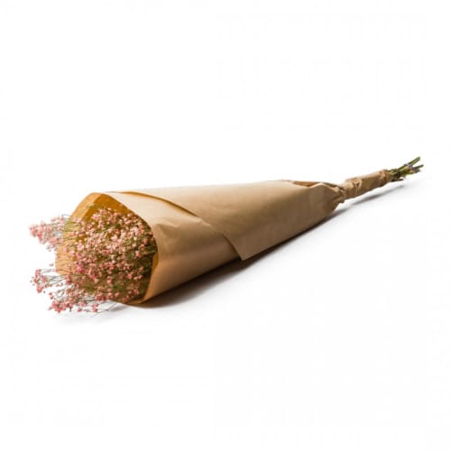 Déco Fleurs séchées | Botte Gypsophila Dried Pink - YI83863