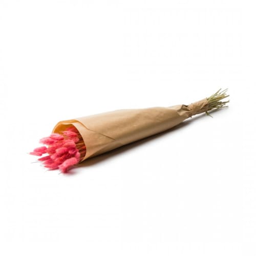 Déco Fleurs séchées | Botte Lagurus Ovatus Pink - YS96529