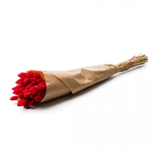 Déco Fleurs séchées | Botte Phalaris Red - WE60794