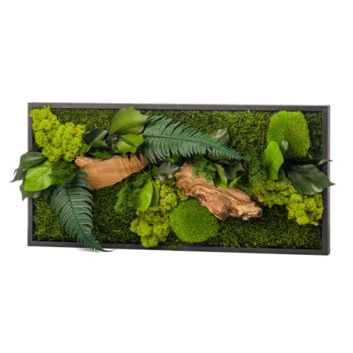 Jardin Plantes d'intérieur et fleurs d'intérieur | Tableau végétal rectangle noir 27x57cm - JM01306