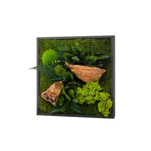 Jardin Plantes d'intérieur et fleurs d'intérieur | Tableau végétalisé carré noir 35x35cm - OQ83405