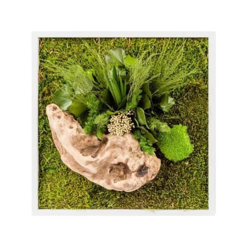 Jardin Plantes d'intérieur et fleurs d'intérieur | Tableau végétal stabilisé nature carré 35 x 35 cm - SB95804