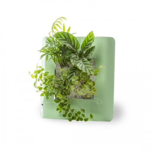 Jardin Plantes d'intérieur et fleurs d'intérieur | Tableau végétalisé S métal édition vert pastel 34x32cm - SP27076