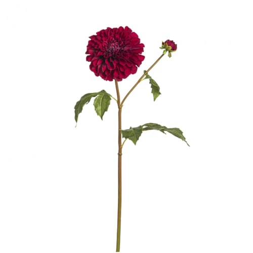 Déco Fleurs artificielles et bouquets | Dahlia artificiel Bonnie H50cm - YF31939