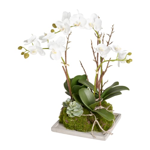 Déco Fleurs artificielles et bouquets | Composition d'Orchidées et de Succulents - KE19322