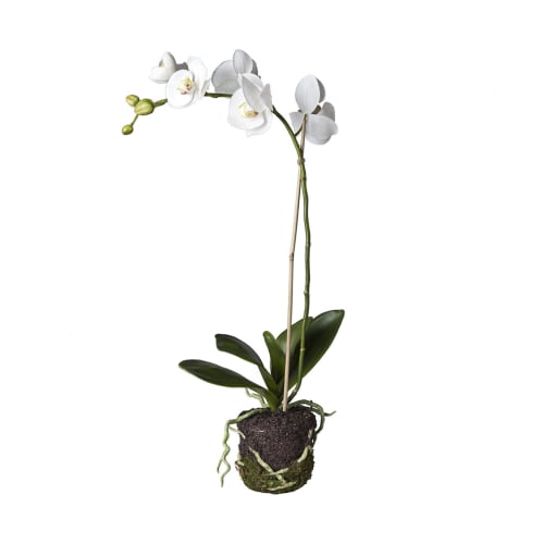 Déco Fleurs artificielles et bouquets | Orchidée artificielle en terre H59cm - SJ26801
