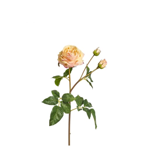 Déco Fleurs artificielles et bouquets | Rose artificielle Agathe H55cm - OX77658