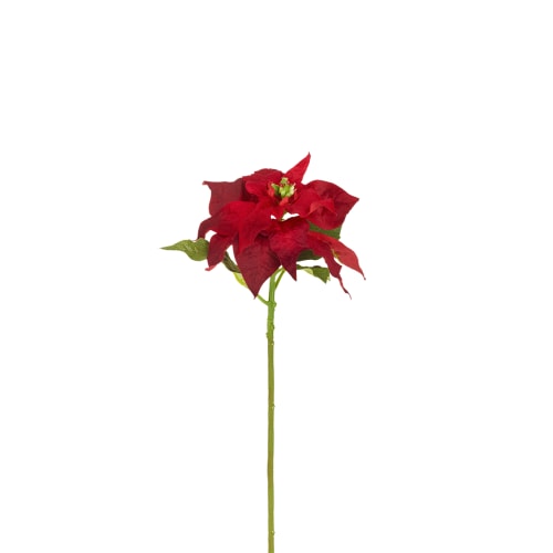 Déco Fleurs artificielles et bouquets | Tige de Poinsettia en Velours - OA69028