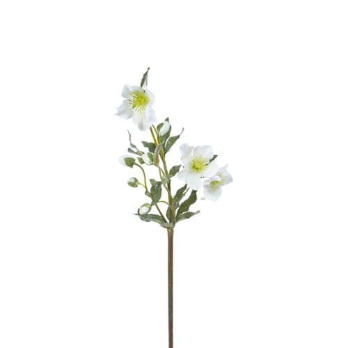 Déco Fleurs artificielles et bouquets | Helleborus niger - OL32971