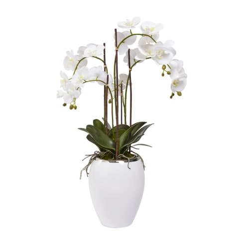Jardin Plantes d'intérieur et fleurs d'intérieur | Orchidée Artificielle en Pot SANA H85 - HL38892
