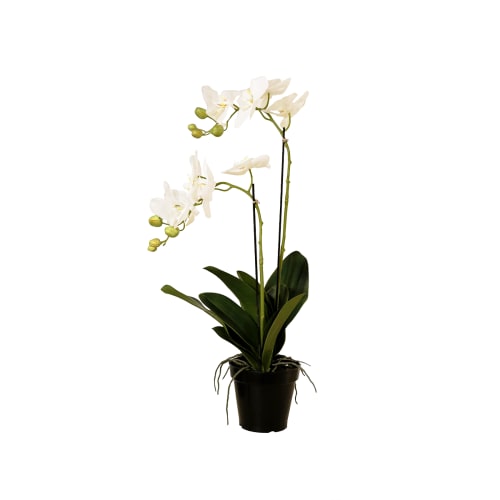 Déco Fleurs artificielles et bouquets | Orchidée en Pot Dina - NP40962