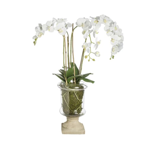 Déco Fleurs artificielles et bouquets | Orchidée en coupe Marylin H88cm - ON69017