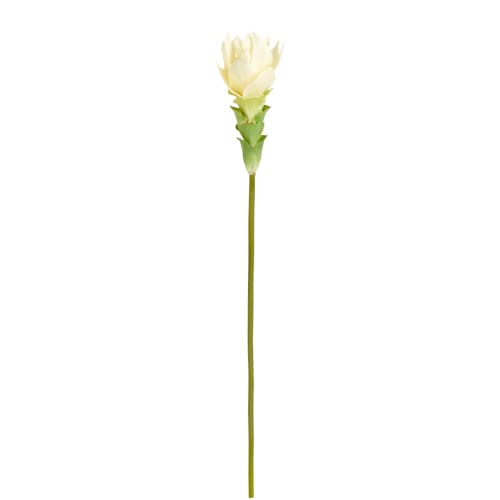 Déco Fleurs artificielles et bouquets | Gingembre artificiel Miami - LC00864