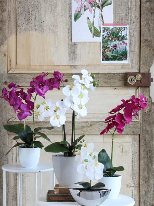 Phalaenopsis artificial violeta en maceta Alt. 60 | Maisons du Monde