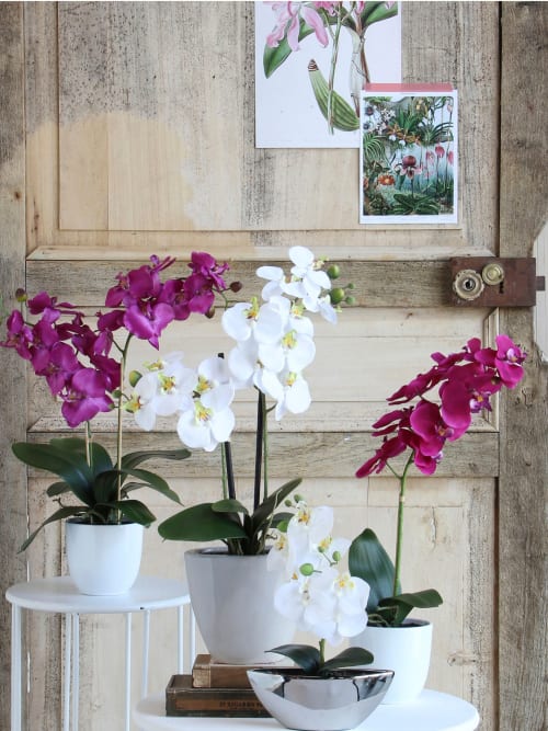 Orchidée artificielle violette en pot H60 | Maisons du Monde