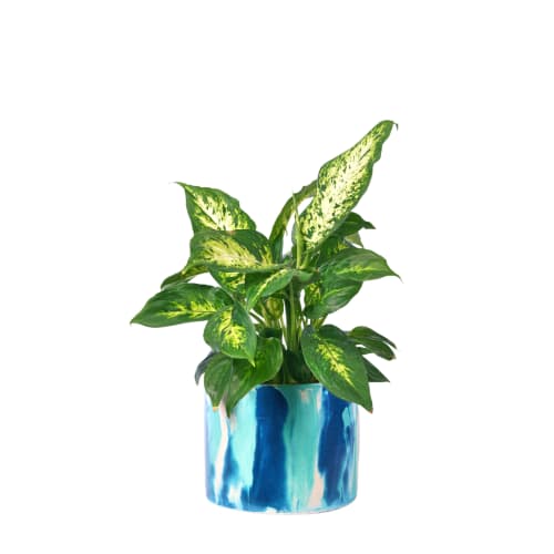 Jardin Pots, cache-pots et jardinières d'extérieur | Cache-pot xxl tie&dye en béton bleu pétrole et turquoise - BE06627