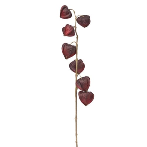 Déco Fleurs artificielles et bouquets | Physalis Marly H90cm - GK16605