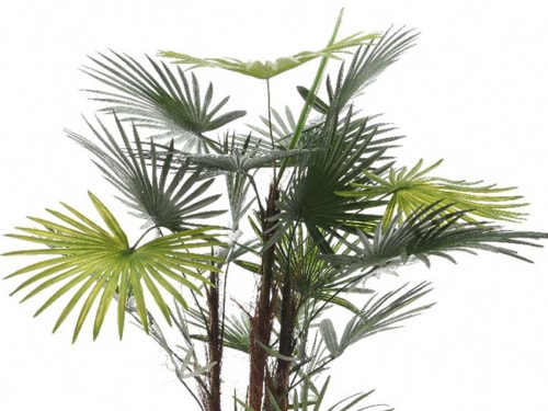 Palmier artificiel 50x50x90 cm en plastique vert | Maisons du Monde