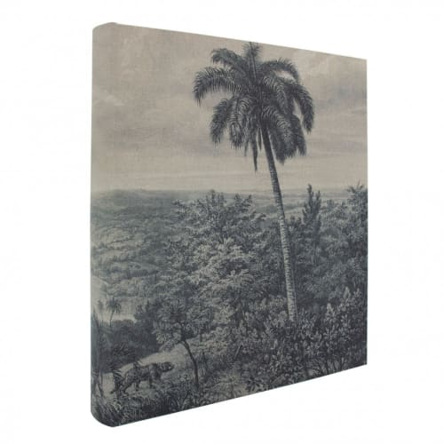 Album photo traditionnel palmier 600 photos 10x15 cm PALMIER