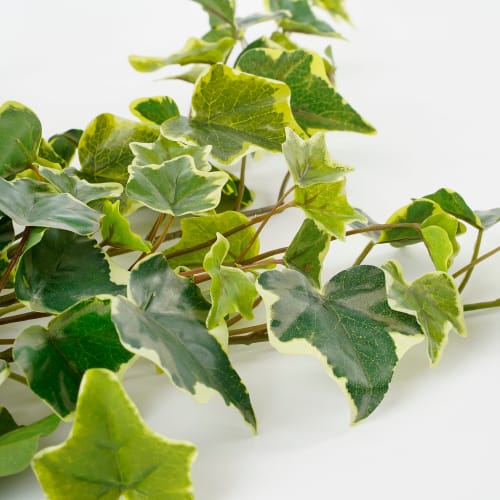 Hedera artificiale sospeso verde variegato alt.71