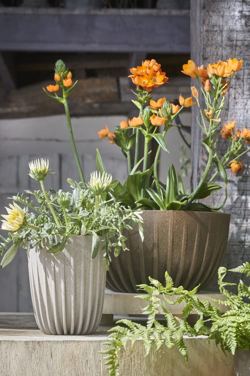 Mica pot de fleurs Tusca rond anthracite - Pot pour l'intérieur